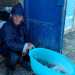 Il pescatore 68enne Vito Donato, alle prese con "l'arricciamento" dei polpi